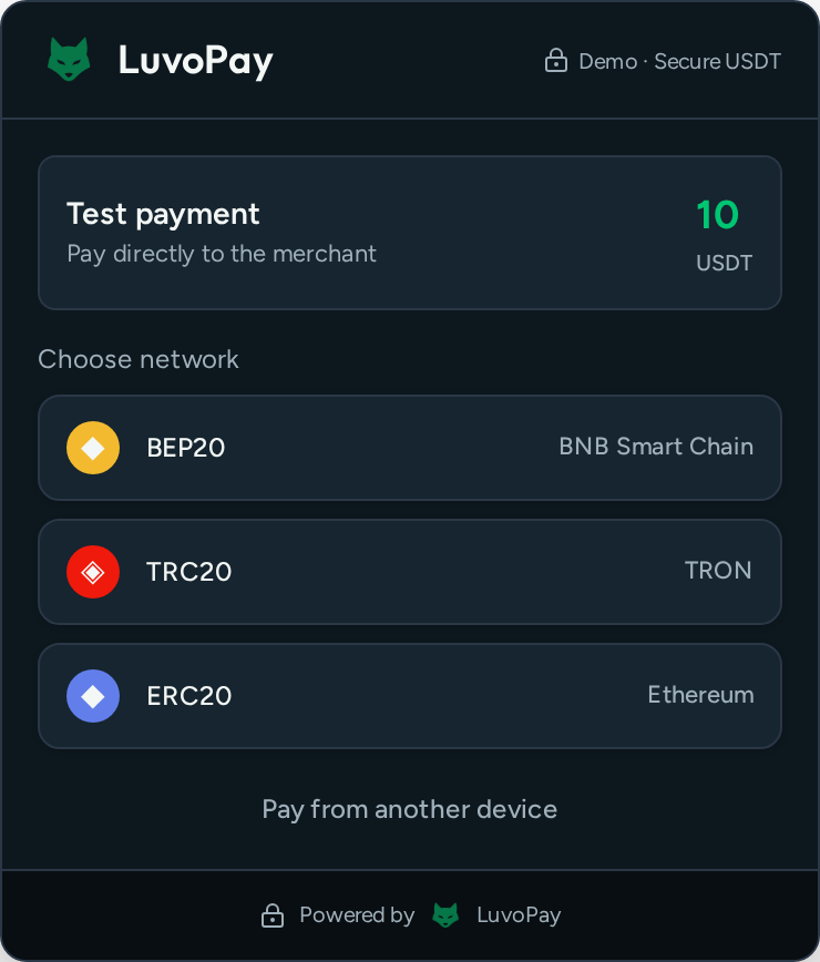 LuvoPay checkout showing the network selection screen with BEP20, TRC20 and ERC20 options
